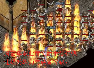 �L녵�ְҵ��������������������ս����װ���ȼ���