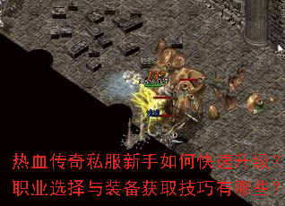 ��Ѫ����˽��������ο���������ְҵѡ����װ����ȡ��������Щ��