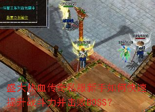 ʢ����Ѫ����˽��������ο�������ս����������BOSS��