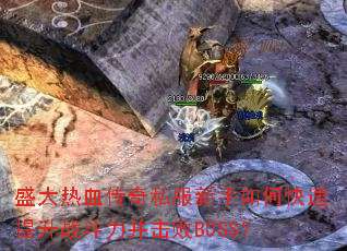 ʢ����Ѫ����˽��������ο�������ս����������BOSS��