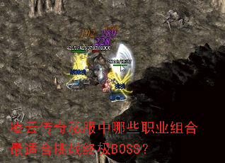 ���ƴ���˽������Щְҵ������ʺ���ս�ռ�BOSS��