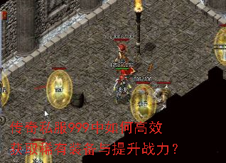����˽��999����θ�Ч��ȡϡ��װ��������ս����
