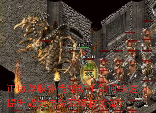 ���浥ְҵ����������ο�������ս�����ȡϡ��װ����