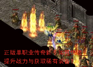 ���浥ְҵ����������ο�������ս�����ȡϡ��װ����