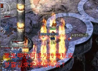 ������Ϊ�γ�Ϊ�����������������ռ���װ��