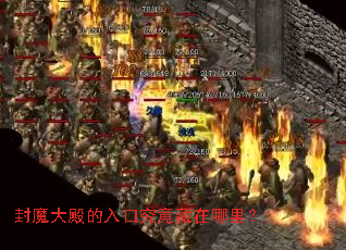 ��ħ������ھ����������
