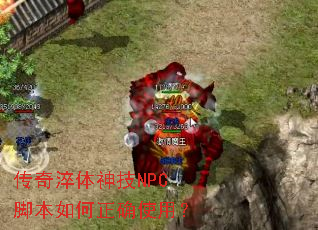 ���������NPC�ű������ȷʹ�ã�