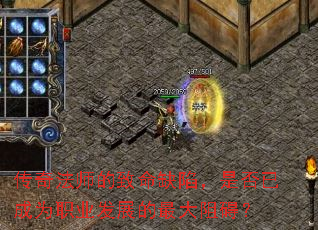 ���淨ʦ������ȱ�ݣ��Ƿ��ѳ�Ϊְҵ��չ������谭��