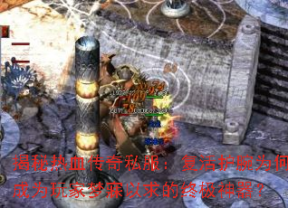 ������Ѫ����˽���������Ϊ�γ�Ϊ�������������ռ�������