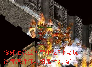 ��֪�����洫������3�������ר������ϰ����ʲô��