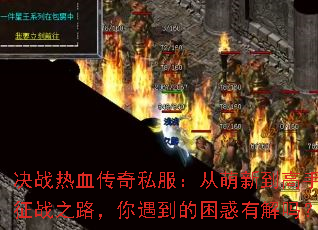 ��ս��Ѫ����˽���������µ����ֵ���ս֮·���������������н���