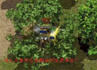 ��֮ӡ��ְҵǰ����ο��ٳ弶��