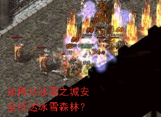 ��δӱ�ѩ֮�ǰ�ȫ�ִ��ѩɭ�֣�