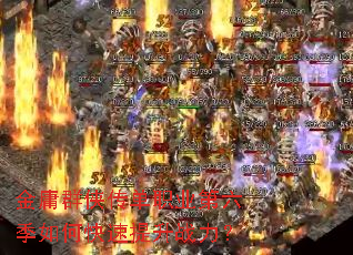 ��ӹȺ������ְҵ��������ο�������ս����