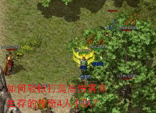 ������ɴ�����˺�������Ĵ���4��С�ӣ�