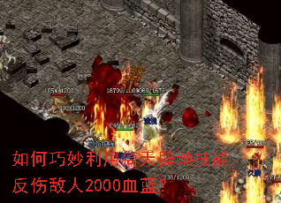 ���������������ٵؼ��ܷ��˵���2000Ѫ����