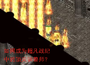 ��γ�Ϊ����ս���еĶ���ѱ��ʦ��