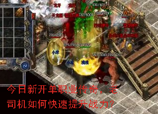 �����¿���ְҵ���棬��˾����ο�������ս����