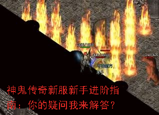 ��������·����ֽ���ָ�ϣ���������������