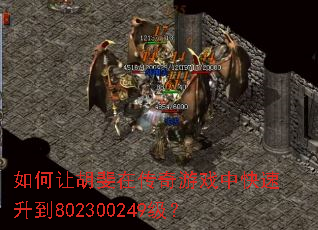 ����ú���ڴ�����Ϸ�п�������802300249����