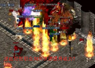 ��Ѫ�͵�ְҵ��ο�������ս����