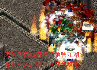 �콣�������Я�ֳ۳ҽ��������������ȡ������ȫ����