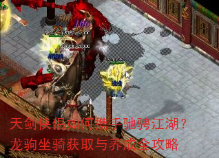 �콣�������Я�ֳ۳ҽ��������������ȡ������ȫ����