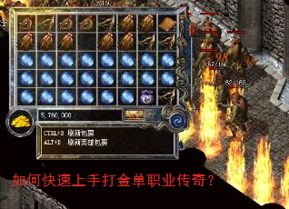 ��ο������ִ��ְҵ���棿