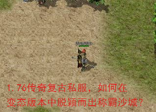 1.76���渴��˽��������ڱ�̬�汾����ӱ�����ư�ɳ�ǣ�