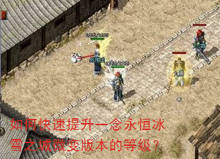 如何快速提升一念永恒冰雪之城微变版本的等级? 如何快速提升一念永恒冰雪之城微变版本的等级?