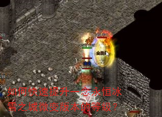如何快速提升一念永恒冰雪之城微变版本的等级? 如何快速提升一念永恒冰雪之城微变版本的等级?