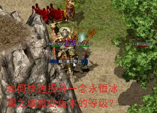 如何快速提升一念永恒冰雪之城微变版本的等级? 如何快速提升一念永恒冰雪之城微变版本的等级?