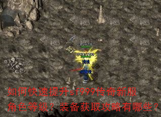 如何快速提升sf999传奇新服角色等级?装备获取攻略有哪些? 如何快速提升sf999传奇新服角色等级?装备获取攻略有哪些?