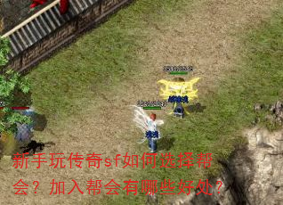 新手玩传奇sf如何选择帮会?加入帮会有哪些好处? 新手玩传奇sf如何选择帮会?加入帮会有哪些好处?