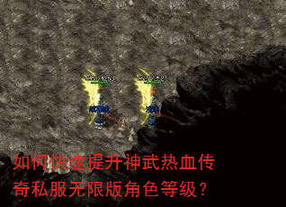 如何快速提升神武热血传奇私服无限版角色等级? 如何快速提升神武热血传奇私服无限版角色等级?