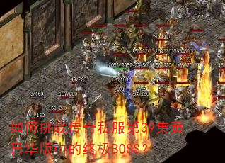�����ս����˽����39�����ջ����е��ռ�BOSS��