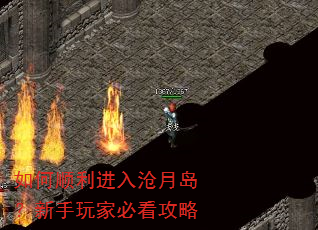 如何顺利进入沧月岛?新手玩家必看攻略 如何顺利进入沧月岛?新手玩家必看攻略