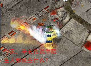 ���죬������˵��İ���˶���Щʲô��