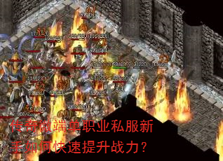 ����΢�˵�ְҵ˽��������ο�������ս����