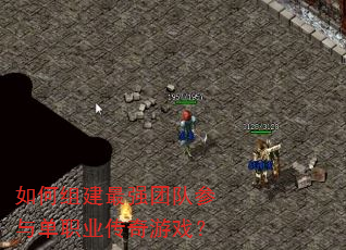 ����齨��ǿ�ŶӲ��뵥ְҵ������Ϸ��