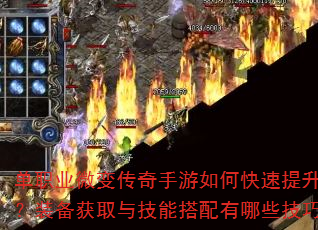 ��ְҵ΢�䴫��������ο�������ս����װ����ȡ�뼼�ܴ�������Щ���ɣ�