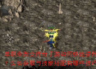 ��ְҵ΢�䴫��������ο�������ս����װ����ȡ�뼼�ܴ�������Щ���ɣ�
