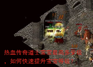 热血传奇道士宝宝最高多少级,如何快速提升宝宝等级? 热血传奇道士宝宝最高多少级,如何快速提升宝宝等级?
