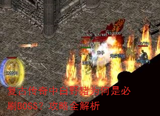���Ŵ����а�Ұ��Ϊ���Ǳ�ˢBOSS������ȫ����