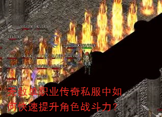 ���ⵥְҵ����˽������ο���������ɫս������