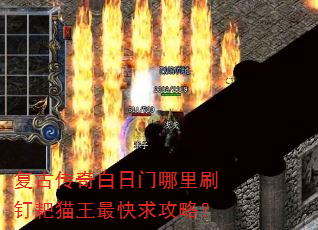 ���Ŵ������������ˢ����è��������ԣ�