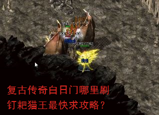 ���Ŵ������������ˢ����è��������ԣ�
