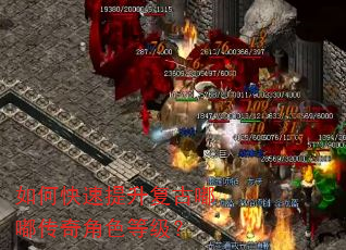 如何快速提升复古嘟嘟传奇角色等级? 如何快速提升复古嘟嘟传奇角色等级?