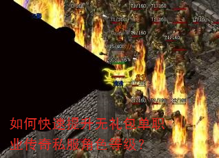 如何快速提升无礼包单职业传奇私服角色等级? 如何快速提升无礼包单职业传奇私服角色等级?