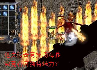 ��ʧ���澺�������ξ����кζ���������